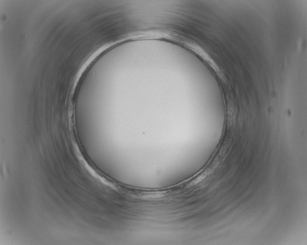 X0000078831484200612111507