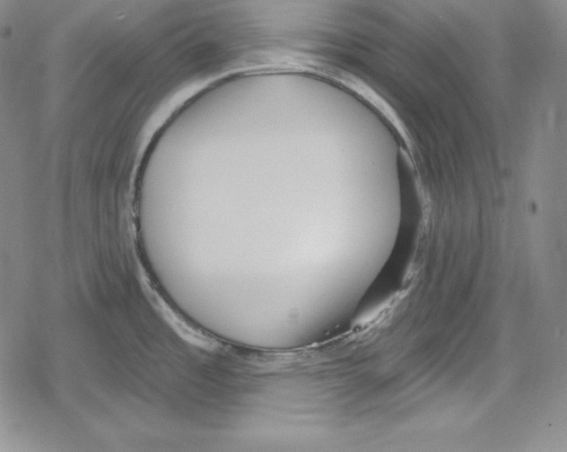 X0000078831485200612111507