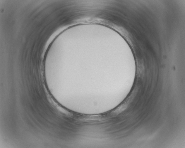 X0000078831486200612111507