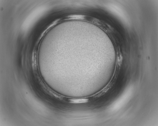 X0000078831487200612111507