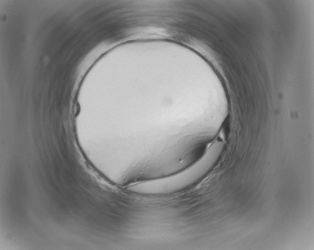 X0000078831488200612111507