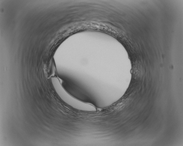 X0000078831490200612111506