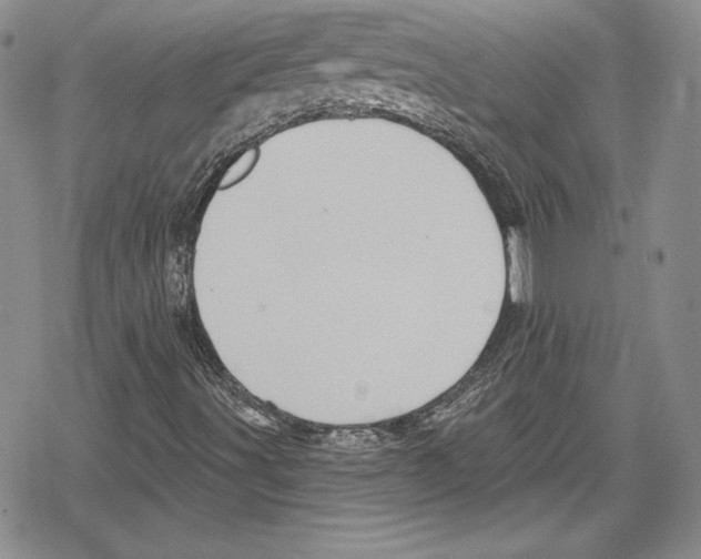 X0000078831491200612111506