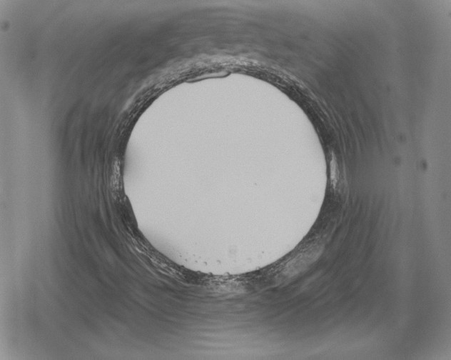 X0000078831492200612111506