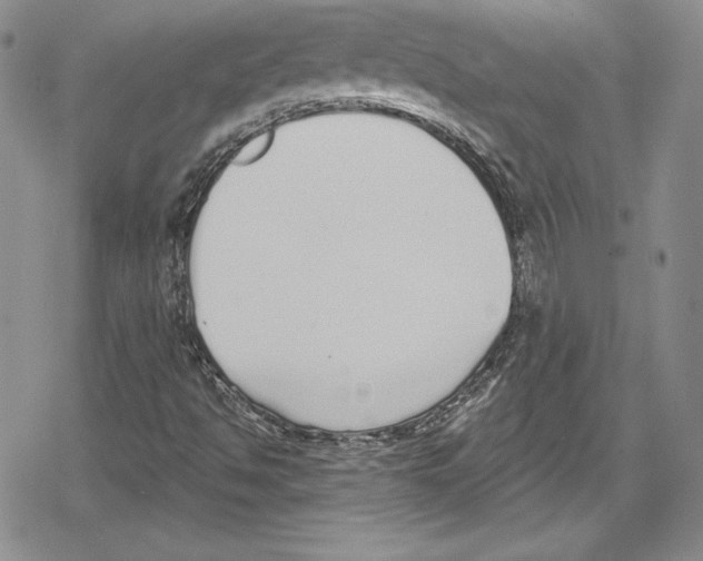 X0000078831494200612111506