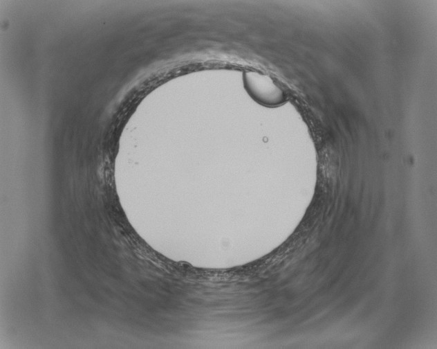 X0000078831495200612111506