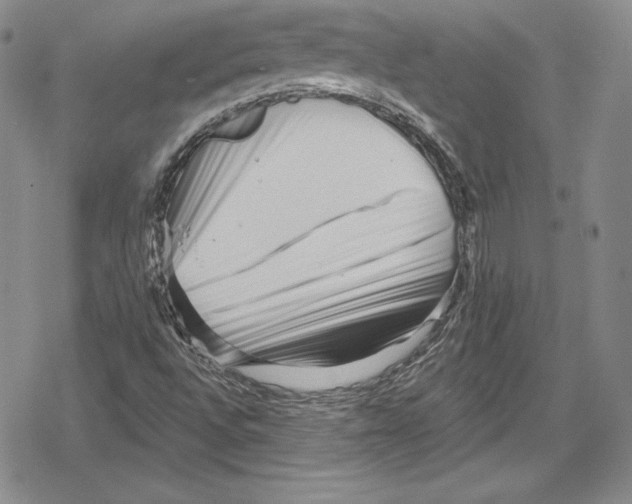 X0000078831496200612111506