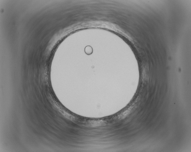 X0000078831498200612111506