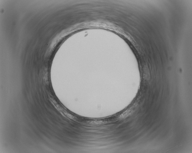 X0000078831499200612111506