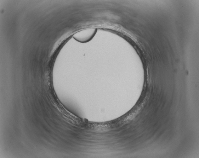 X0000078831501200612111506