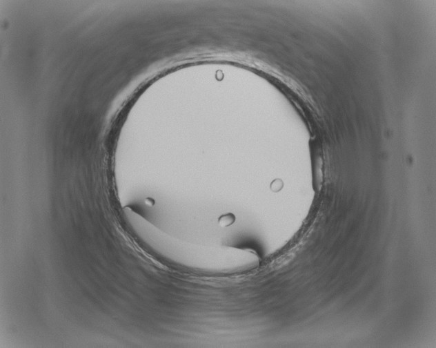 X0000078831502200612111506