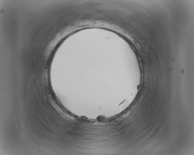 X0000078831503200612111506