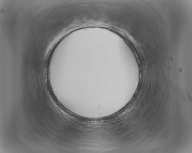 X0000078831504200612111506