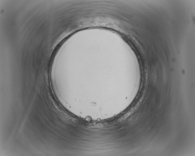 X0000078831505200612111506