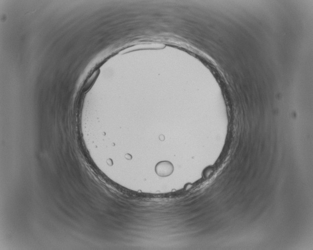 X0000078831506200612111506