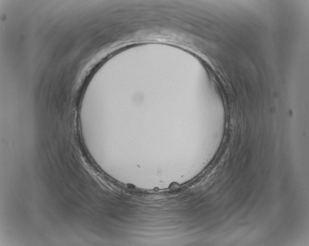 X0000078831507200612111506