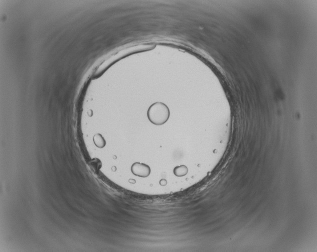 X0000078831508200612111506