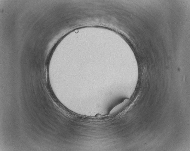 X0000078831509200612111506