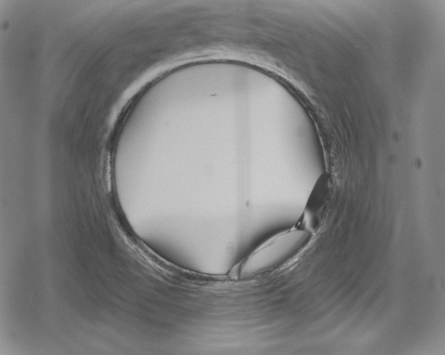 X0000078831510200612111506