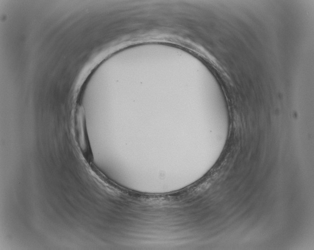 X0000078831512200612111506