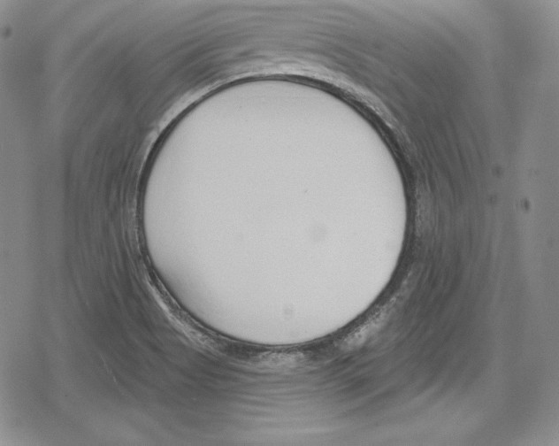 X0000078831513200612111506