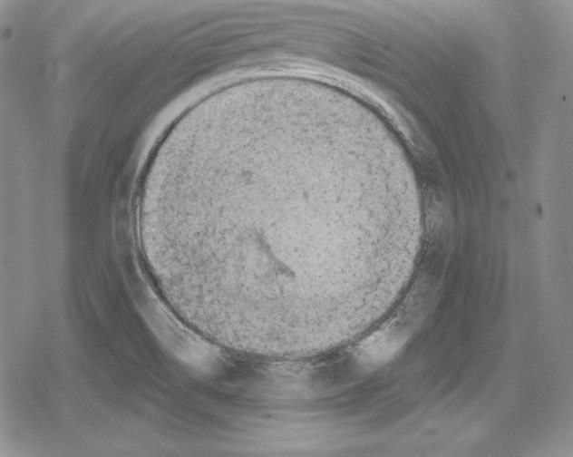 X0000078831514200612111506