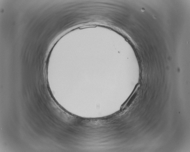 X0000078831516200612111506