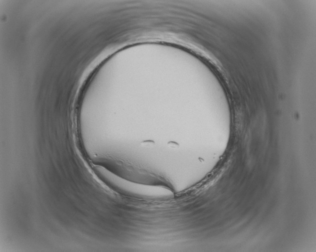 X0000078831517200612111506