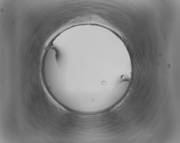 X0000078831518200612111506