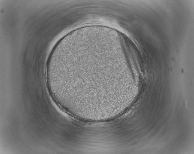 X0000078831519200612111506