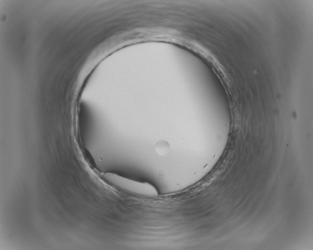 X0000078831520200612111506