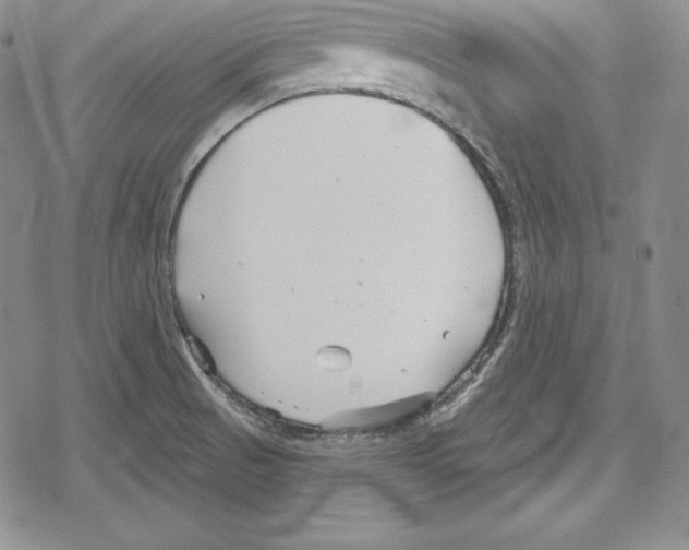 X0000078831521200612111506