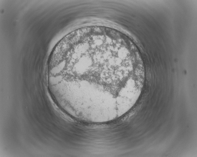 X0000078831522200612111506