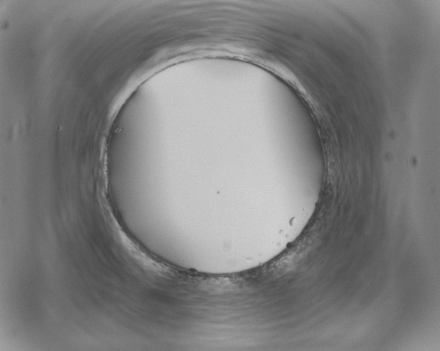 X0000078831524200612111506