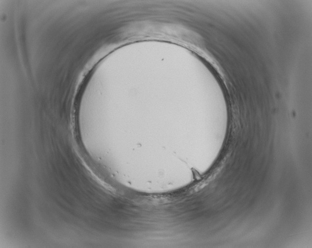 X0000078831525200612111506