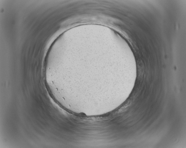 X0000078831527200612111506