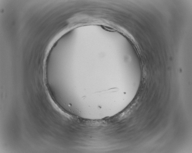 X0000078831528200612111506