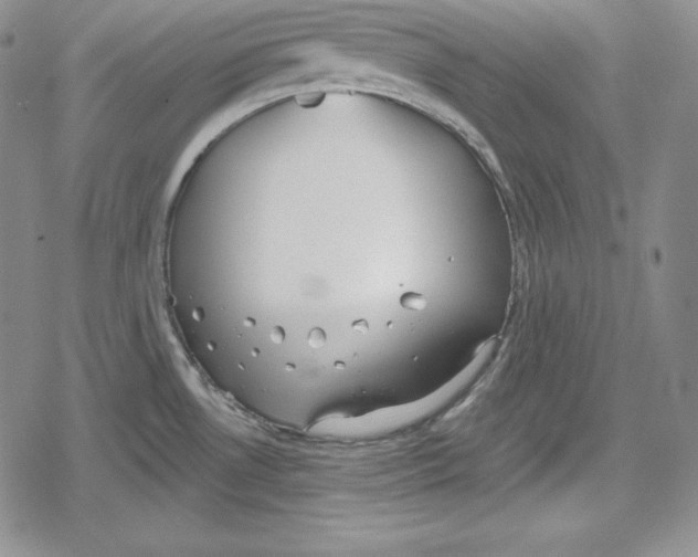 X0000078831530200612111507