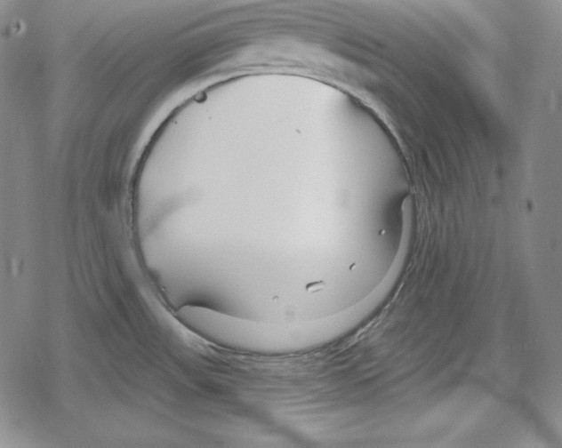 X0000078831531200612111507