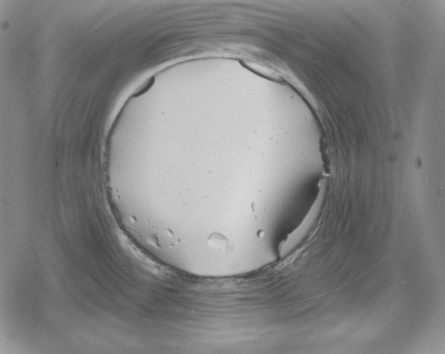 X0000078831532200612111507