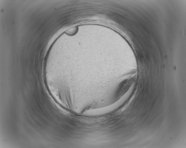 X0000078831533200612111507