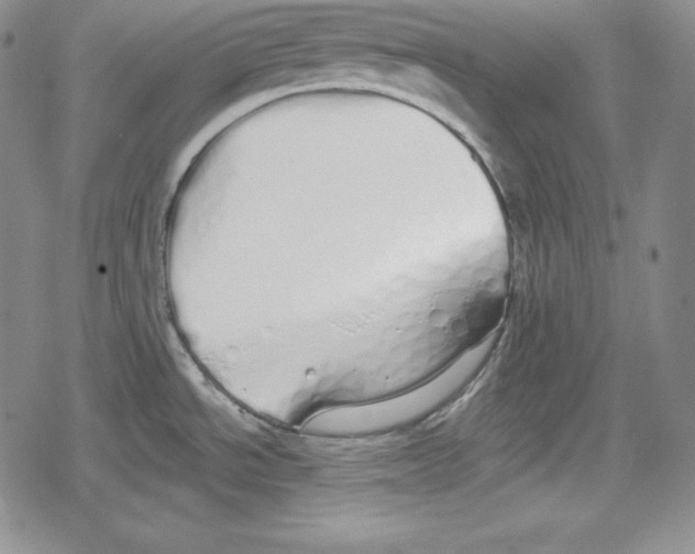 X0000078831534200612111507