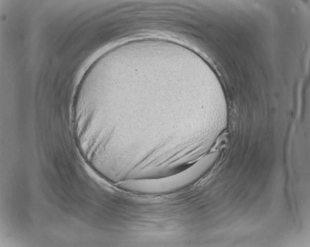 X0000078831535200612111507