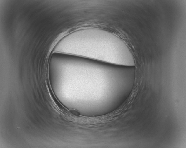 X0000078840003200611131010