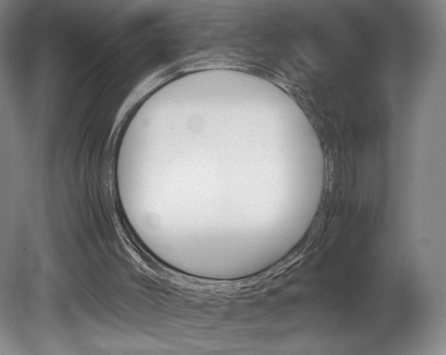 X0000078840004200611131010