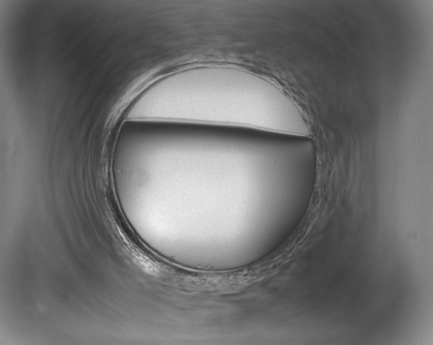 X0000078840005200611131010