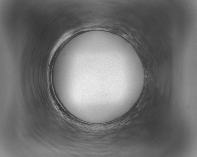 X0000078840006200611131010
