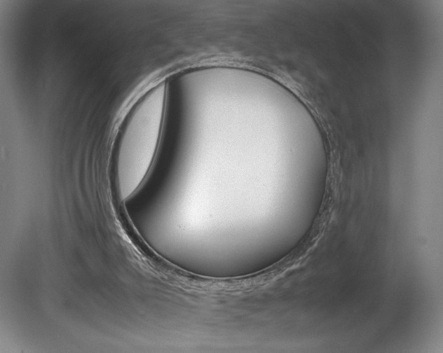 X0000078840007200611131010