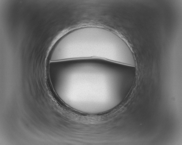 X0000078840008200611131009