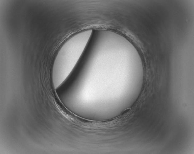 X0000078840009200611131009